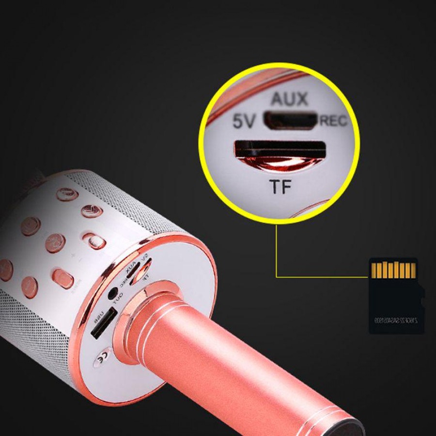 Microfon Wireless Wster WS858, Bluetooth, Card SD, Kararoke Cod 022mhm