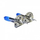 Set becuri halogen, Pegasus Skyline - H1 COD024CHA - LICHIDARE STOC -reducerim.ro Set becuri halogen, Pegasus Skyline - H1 COD024CHA - LICHIDARE STOC - reducerim.ro