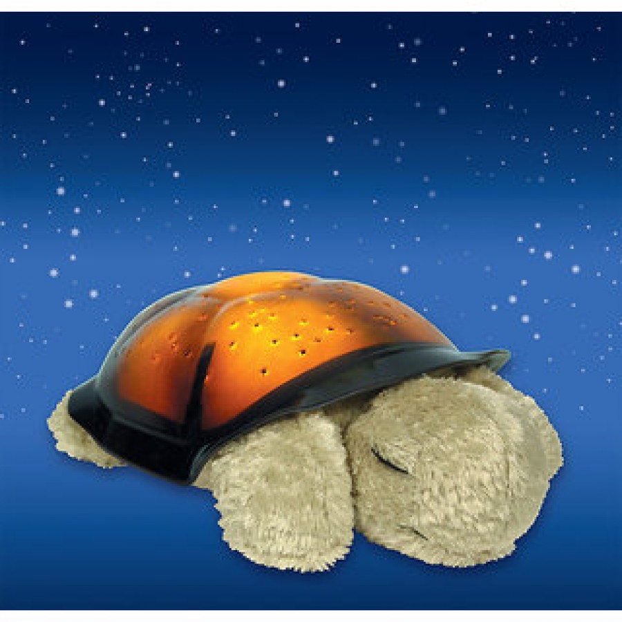 LICHIDARE STOC:BROSCUTA PROIECTOR - TURTLE NIGHT SKY CONSTELLATIONS. - LICHIDARE STOC -reducerim.ro LICHIDARE STOC:BROSCUTA PROIECTOR - TURTLE NIGHT SKY CONSTELLATIONS. - LICHIDARE STOC - reducerim.ro