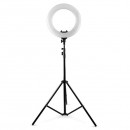 Lampa circulara profesionala, 6 inch, trepied inclus - Iluminat -reducerim.ro Lampa circulara profesionala, 6 inch, trepied inclus - Iluminat - reducerim.ro